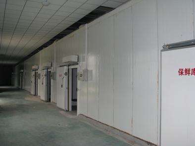 氣調(diào)庫(kù)相比較保鮮庫(kù)而言的話都有哪些特點(diǎn)？