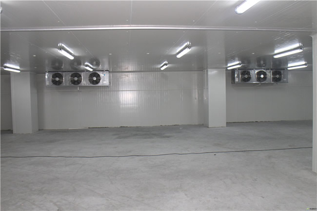 蔬菜冷庫(kù)工程