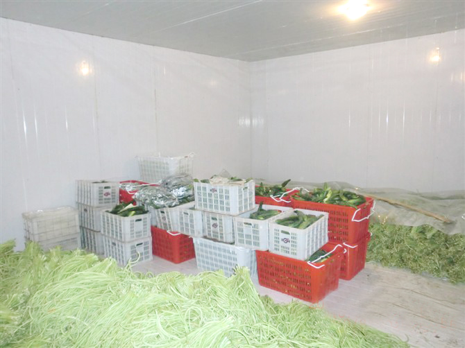 小型冷庫(kù)的發(fā)展前景