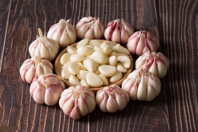 大蒜冷庫多少錢一平方？大蒜保鮮冷庫建造溫度及造價